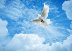 Αγίου Πνεύματος: Μεγάλη μέρα για την Ορθοδοξία