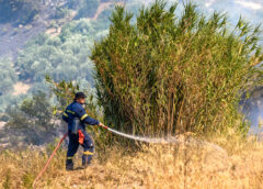 Συναγερμός στο Κορωπί: Φωτιά τώρα σε χαμηλή βλάστηση – «Σηκώθηκαν» ελικόπτερα για την κατάσβεση