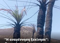 Η φύση τους εκδικείται…