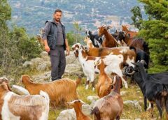 Για ένα άλμα προς τα πίσω …