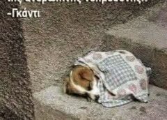 Πρέπει να είσαι πάνω απ΄ όλα ΑΝΘΡΩΠΟΣ…
