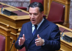 Αδωνις Γεωργιάδης: Στον ΟΔΙΠΠΥ η κύρια ευθύνη των ελέγχων