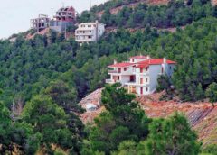Ρύθμιση για τα δασικά αυθαίρετα – Ποιοι εξαιρούνται