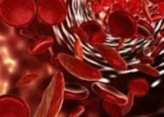 Άρτα: Ενημερωτική δράση για την εθελοντική δωρεά μυελού των οστών