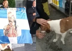 Σπάρταθλον: Σκύλος ακολούθησε αθλητή για 100 χιλιόμετρα [βίντεο]