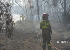 Νέος Κουβαράς: Απανθρακωμένη σορός σε αυτοκίνητο – Η φωτιά επεκτάθηκε σε δασική έκταση