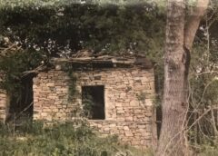 Τα  «ίχνη»  στα  Ηπειρωτικά  βουνά…